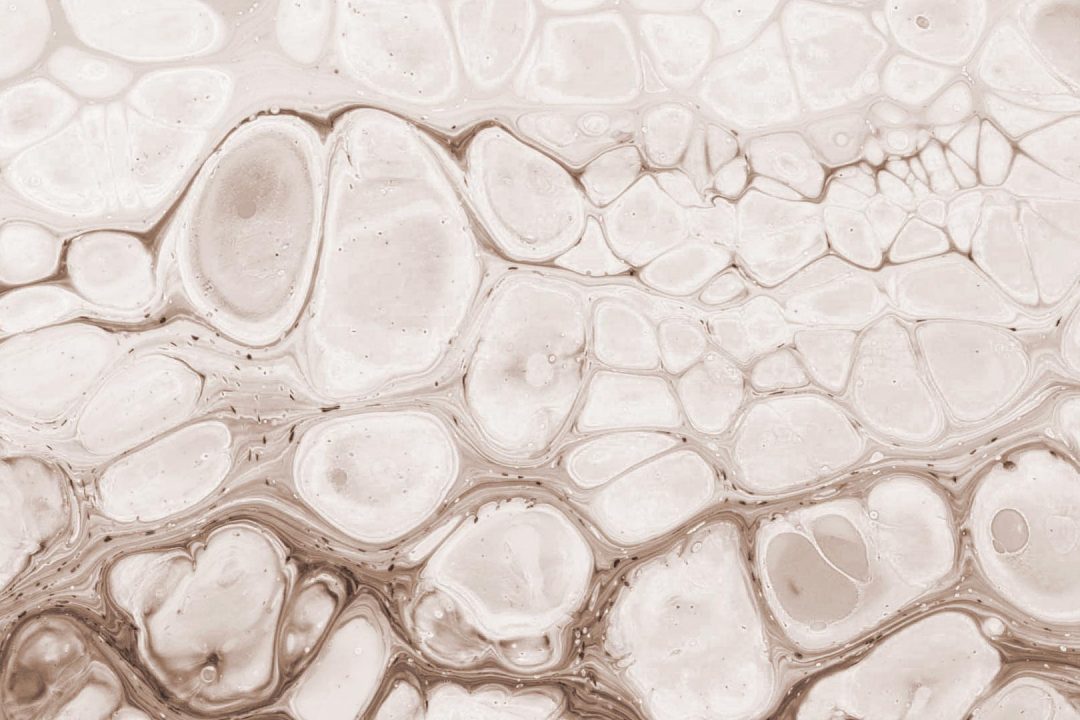 Zellgewebe als Symbolbild für die Wirkweise gesunder Zellkommunikation